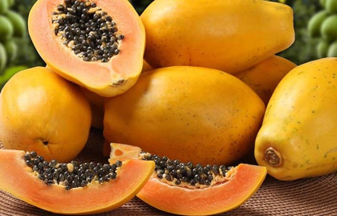Đu đủ là một loại trái cây nhiệt đới cực kỳ tốt cho sức khỏe và chống lão hóa da