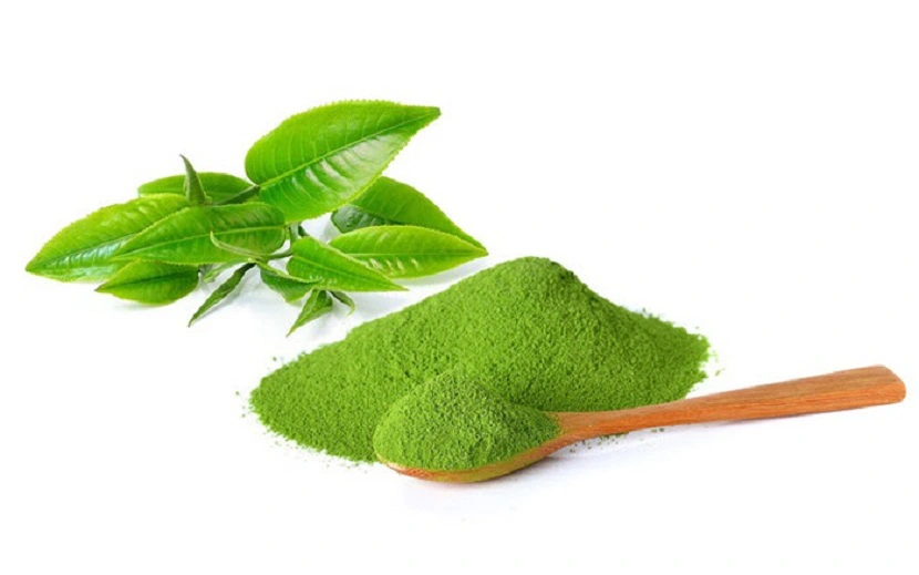 Trà xanh cung cấp các dưỡng chất thiết yếu ngăn ngừa các dấu hiệu lão hóa